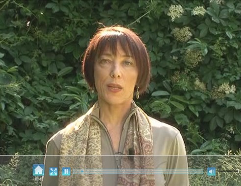 Historical archive: professional videos